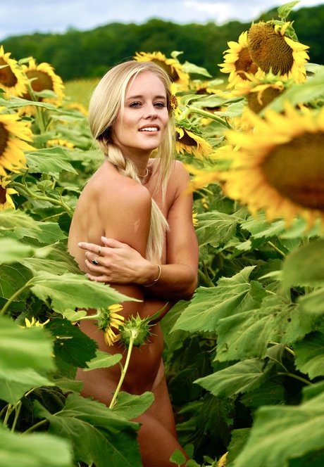 LaurenAnn kunst exklusive bild