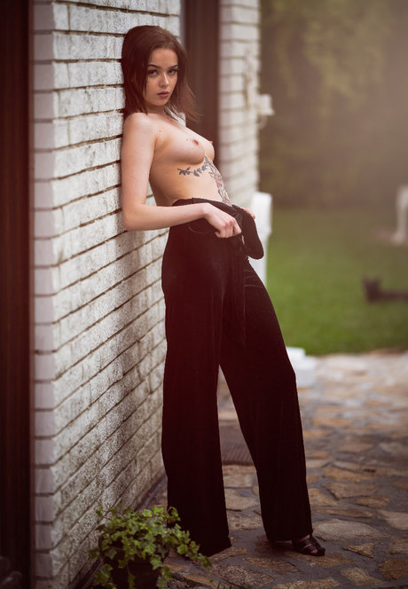 aiclaf model freie archiv