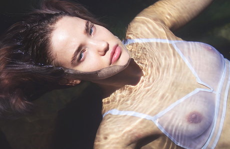 transsexuelle onlyfans nacktheit pornographische foto