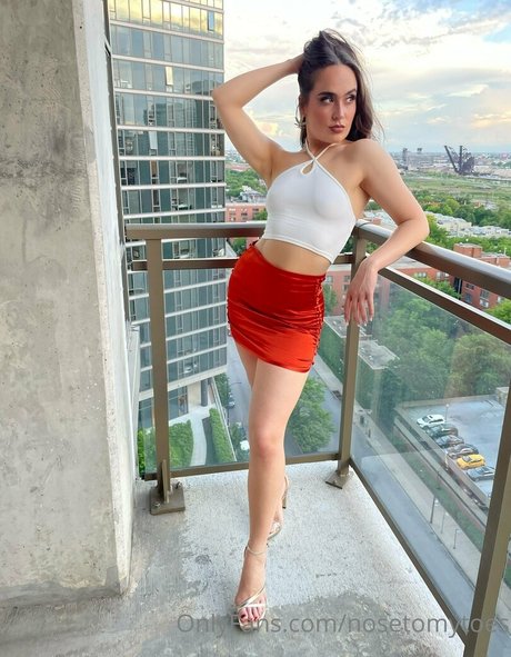 nosetomytoes perfekte schöne foto