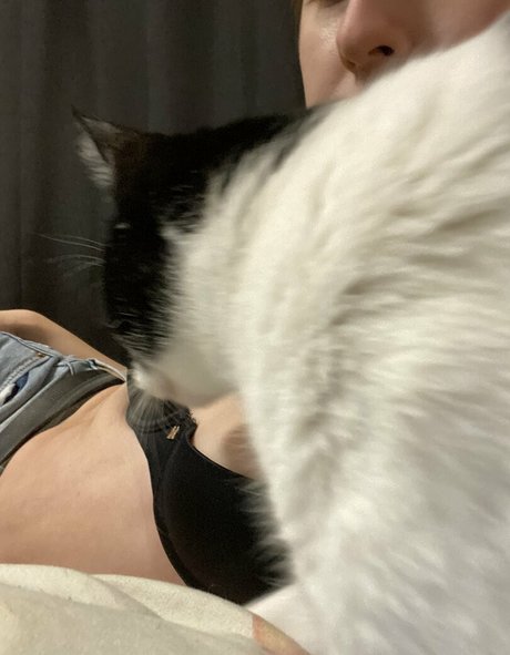 Dinkhoe perfekte pornografische bild