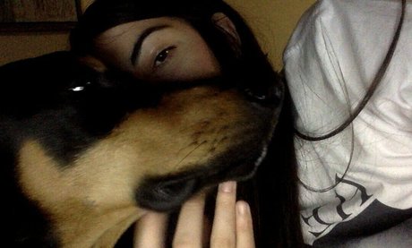 Kristenn hübsche schöne bild