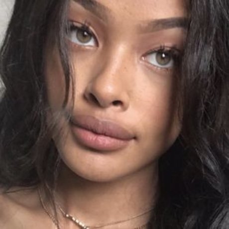 Vinetria kostenlose schöne archiv