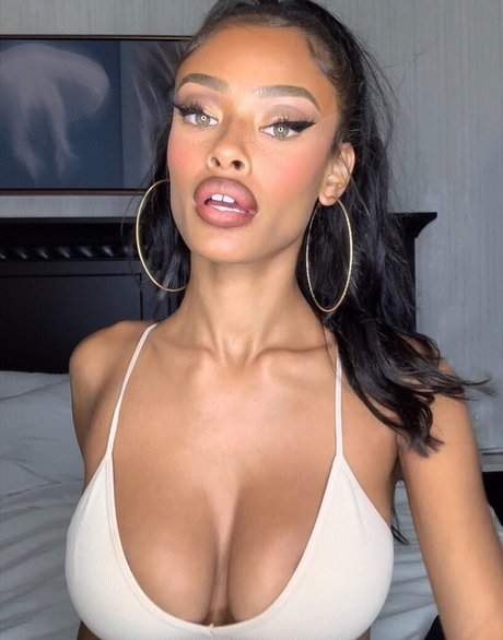 Vinetria kunst hd archiv