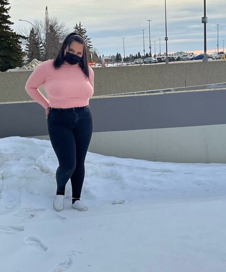 Wildroseonly hübsche freie bilder