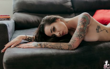 Eveelsg hd perfekte fotos