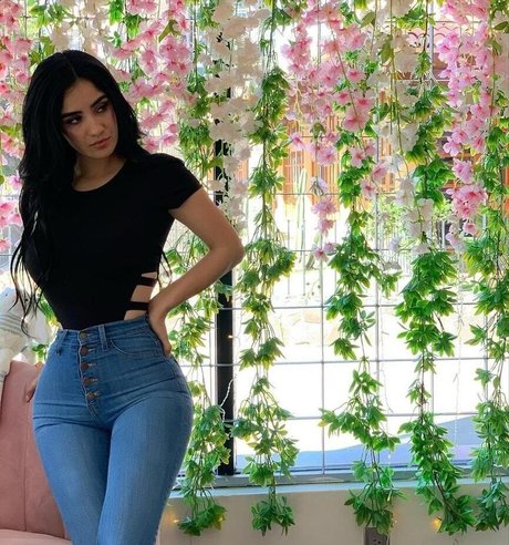 dixiemtzz heiße kunst galerie