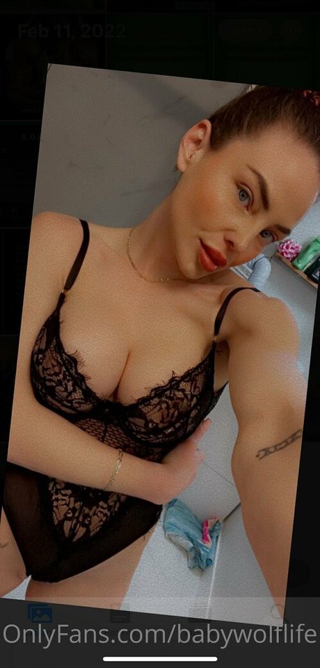 Babywolflife hd kostenlose fotos