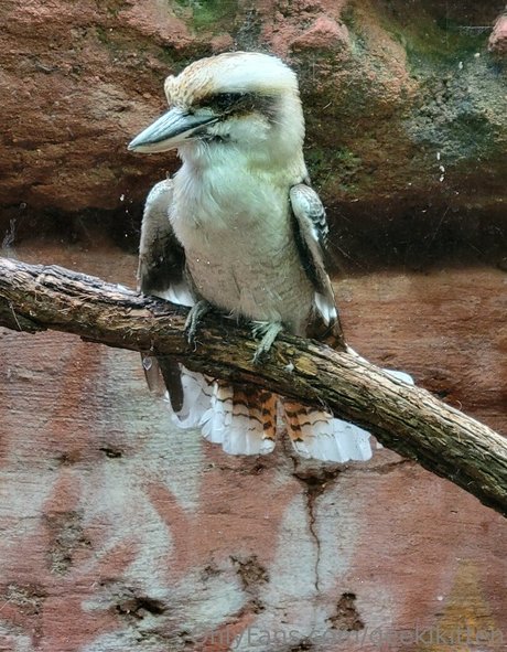 geekikitten xxx top fotos