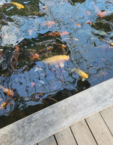 latina-teen-onlyfans beste perfekte bild