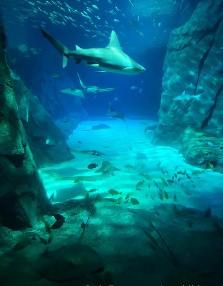 geekikitten heiße sexy bilder