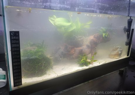 geekikitten top akt foto