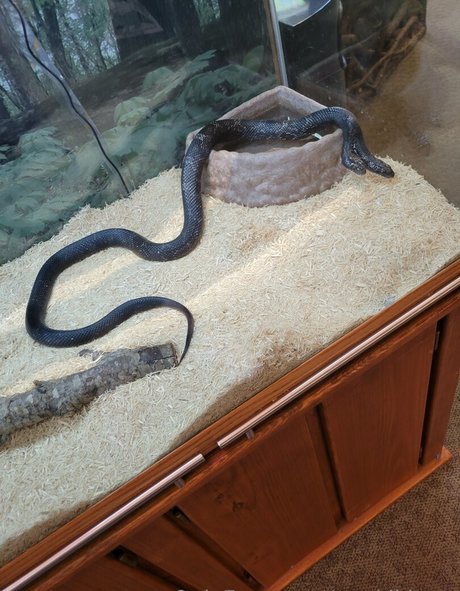 geekikitten top xxx archiv