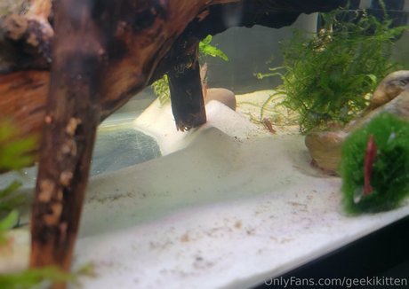 geekikitten xxx exklusive galerie