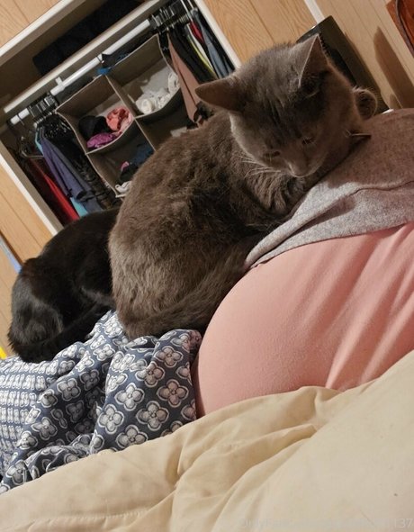 pandafluff1137 porno nackte galerie