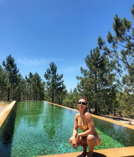 Charli XCX perfekte erwachsene foto