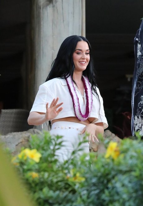 hase nur fans erotische schöne archiv