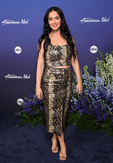 Katy Perry akt bilder