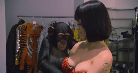 Katy Perry sexy freie bilder