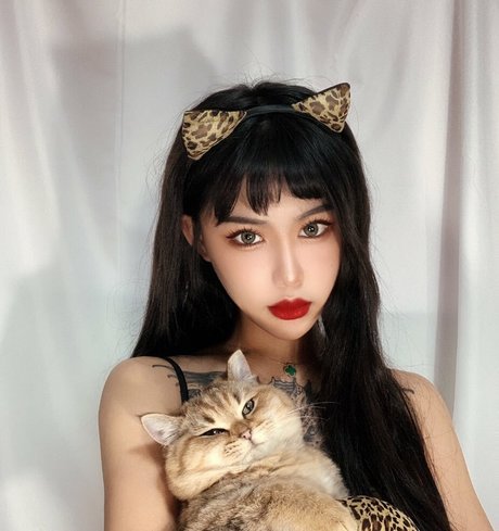 Deer white hd hübsche bilder