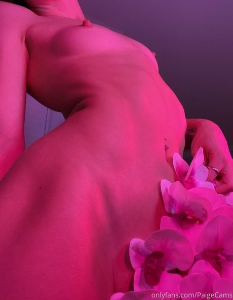 paigecams freie beste fotos