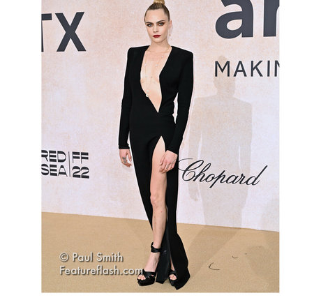 Cara Delevingne kostenlose kunst archiv