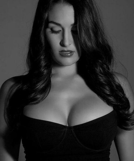 The Bella Twins_ kunst top galerien