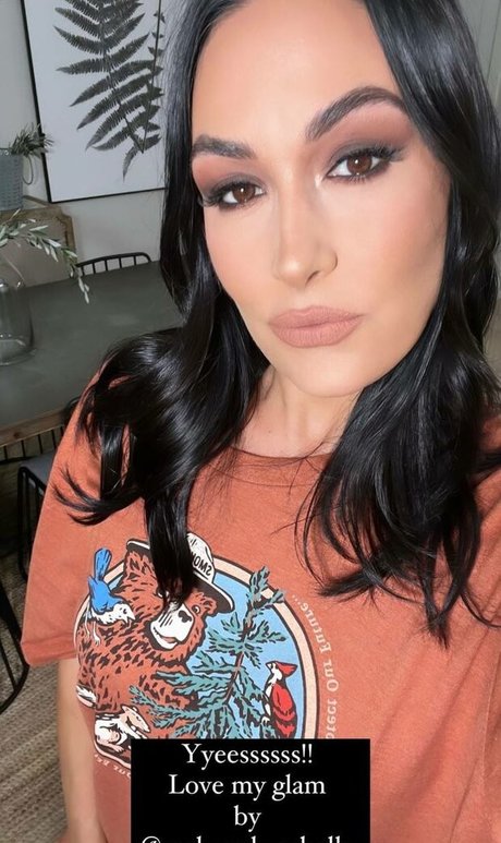 The Bella Twins_ porno pornostar foto