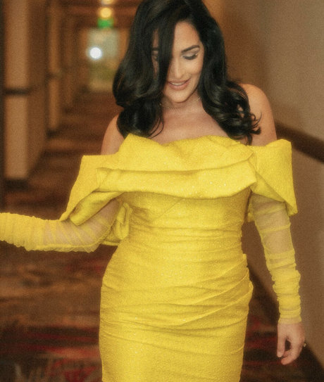 The Bella Twins_ porno erotische bilder