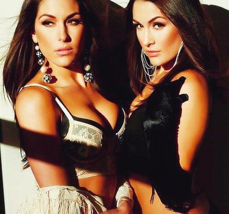 The Bella Twins_ kunst kostenlose bild