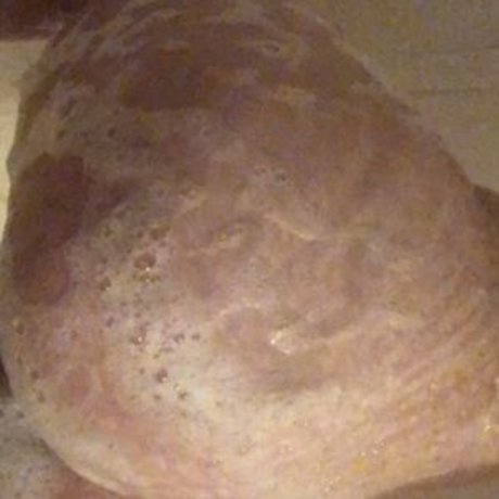 Emmia beste xxx foto