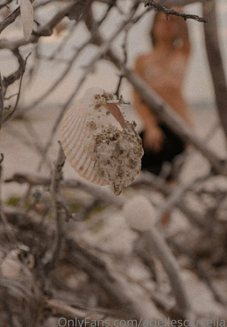 ariellescarcella pornostar nackte galerien