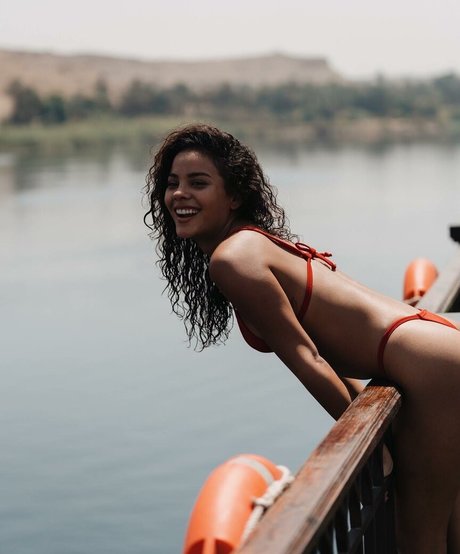 schwänze nur fans hübsche freie archiv