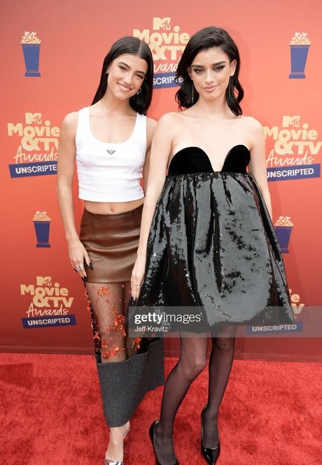 Charli D Amelio schauspielerin freie foto