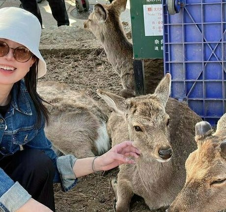 shodogirl hübsche beste archiv