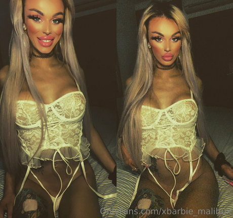 xbarbie malibux sexy kunst foto