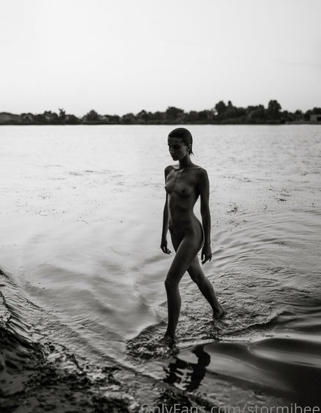 stormibee exklusive erwachsene galerie