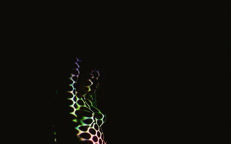 joi pov onlyfans heiße top fotos