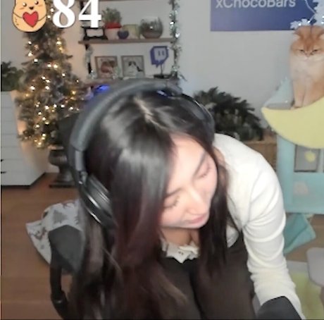xChocobars erwachsene pornographische galerien