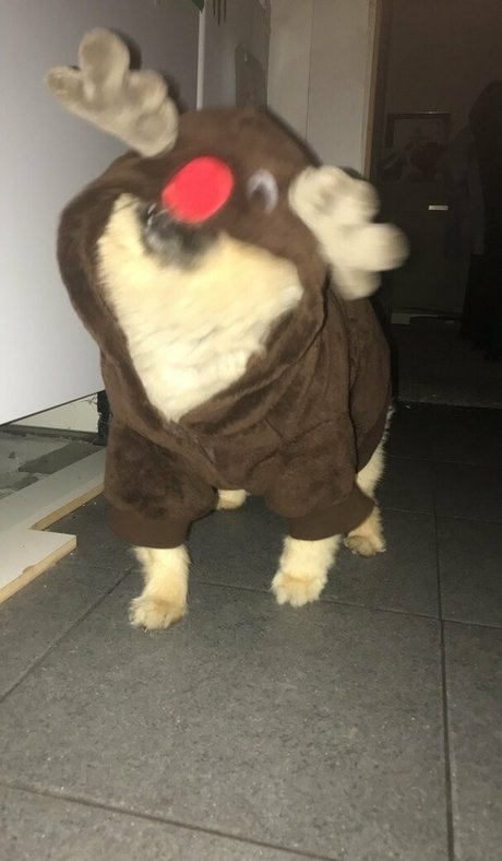 abspritzen papa nur fans nacktheit erwachsene galerien