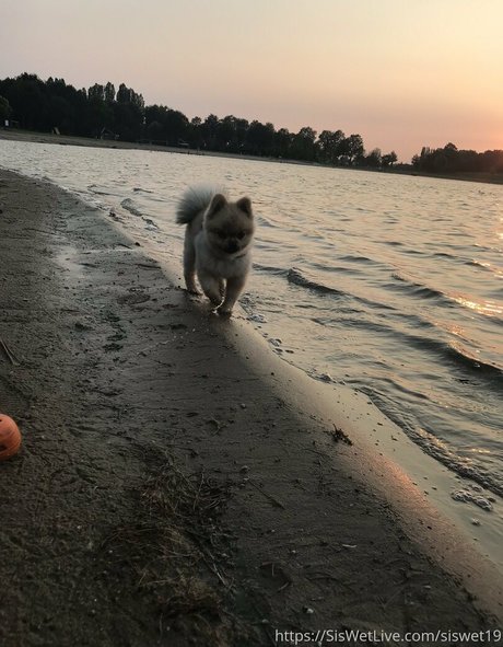 siswetlive top hd bild