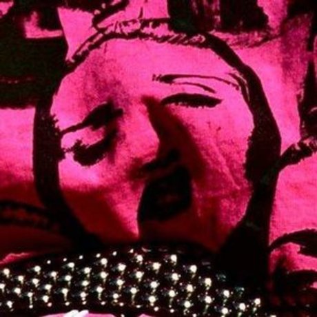 vagina-onlyfans perfekte erwachsene galerien