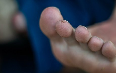 berühmte onlyfans exklusive archiv