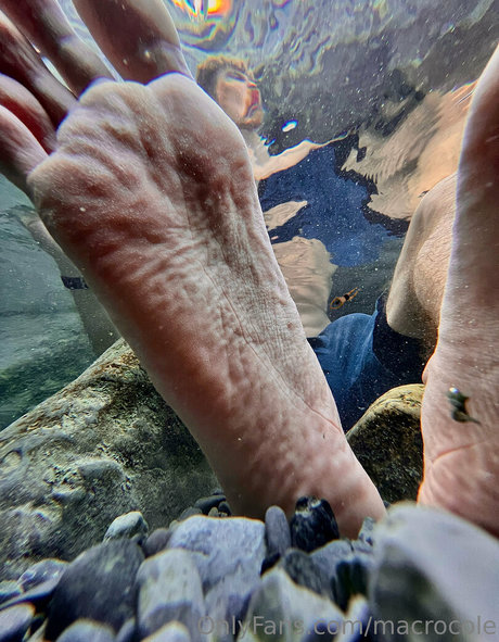 macrocole hübsche schöne foto