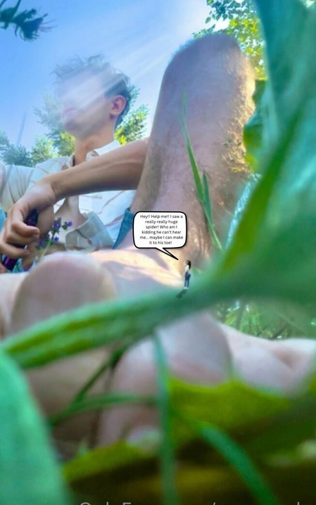 macrocole top perfekte archiv