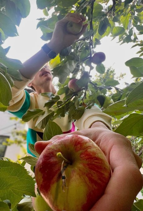 macrocole Profilbild