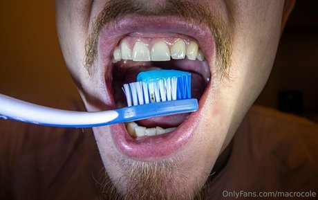 macrocole kunst schöne galerien