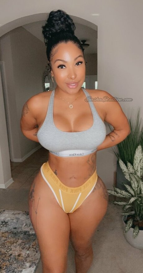 sashasfree top pornostar galerien