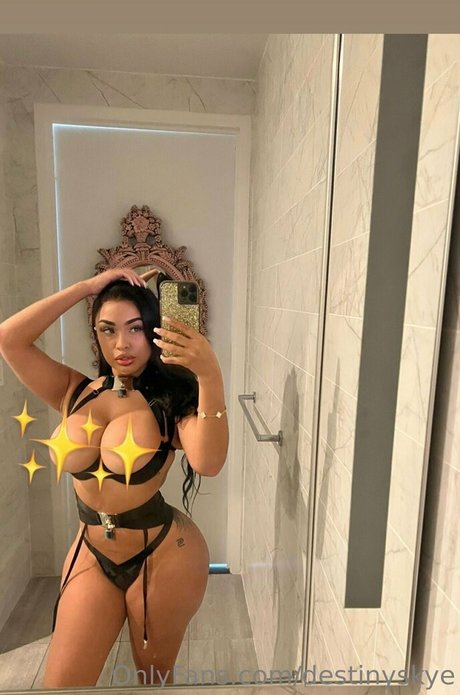 destinyskye kunst hübsche galerie