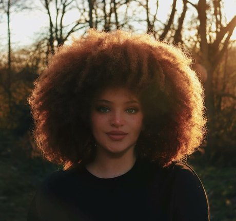 mollige kätzchen-onlyfans hübsche freie foto